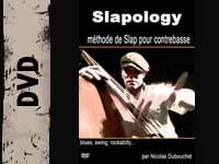 slapology_book